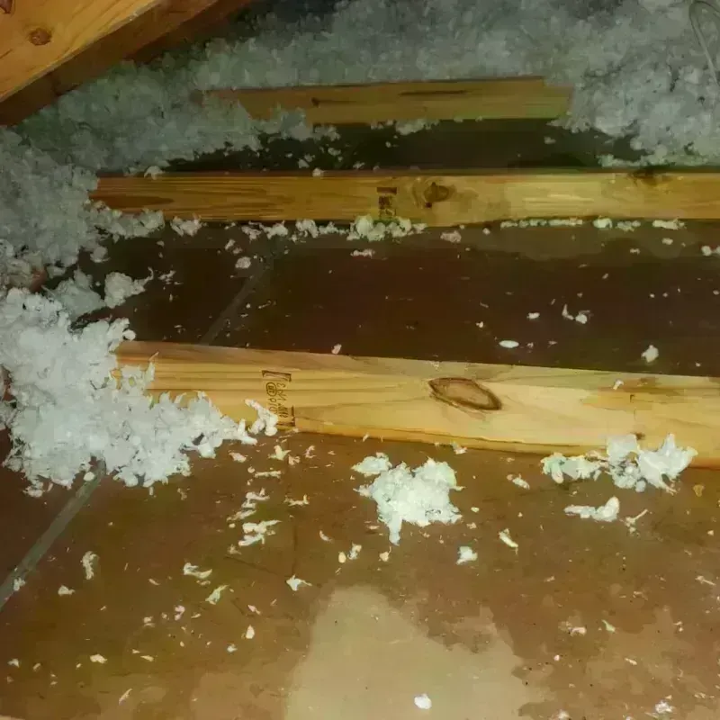 Attic Water Damage in Waldron, AR